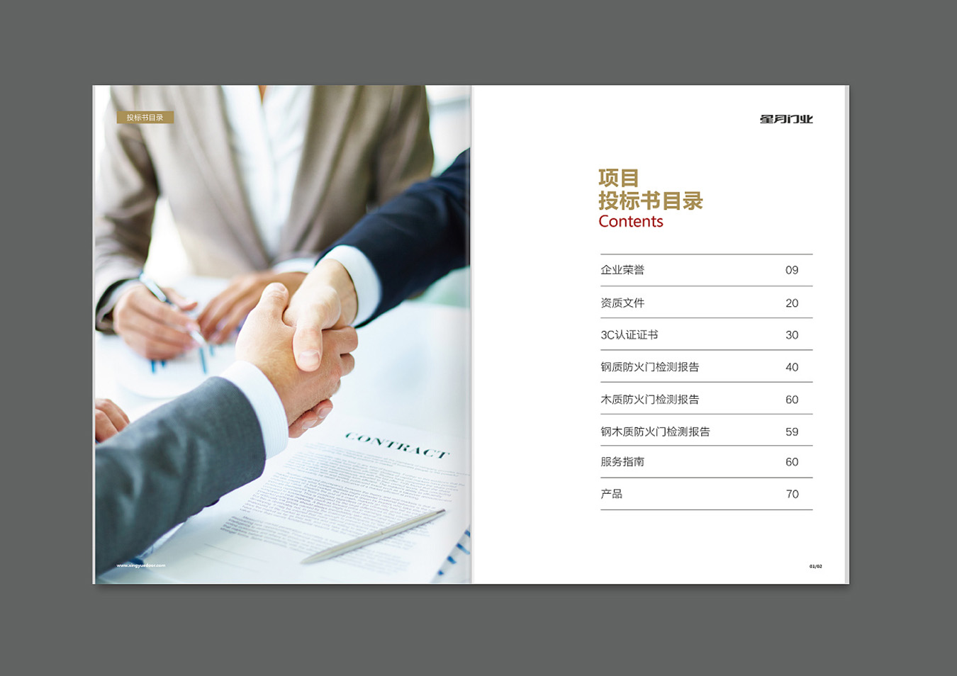 星月企業(yè)畫冊設計